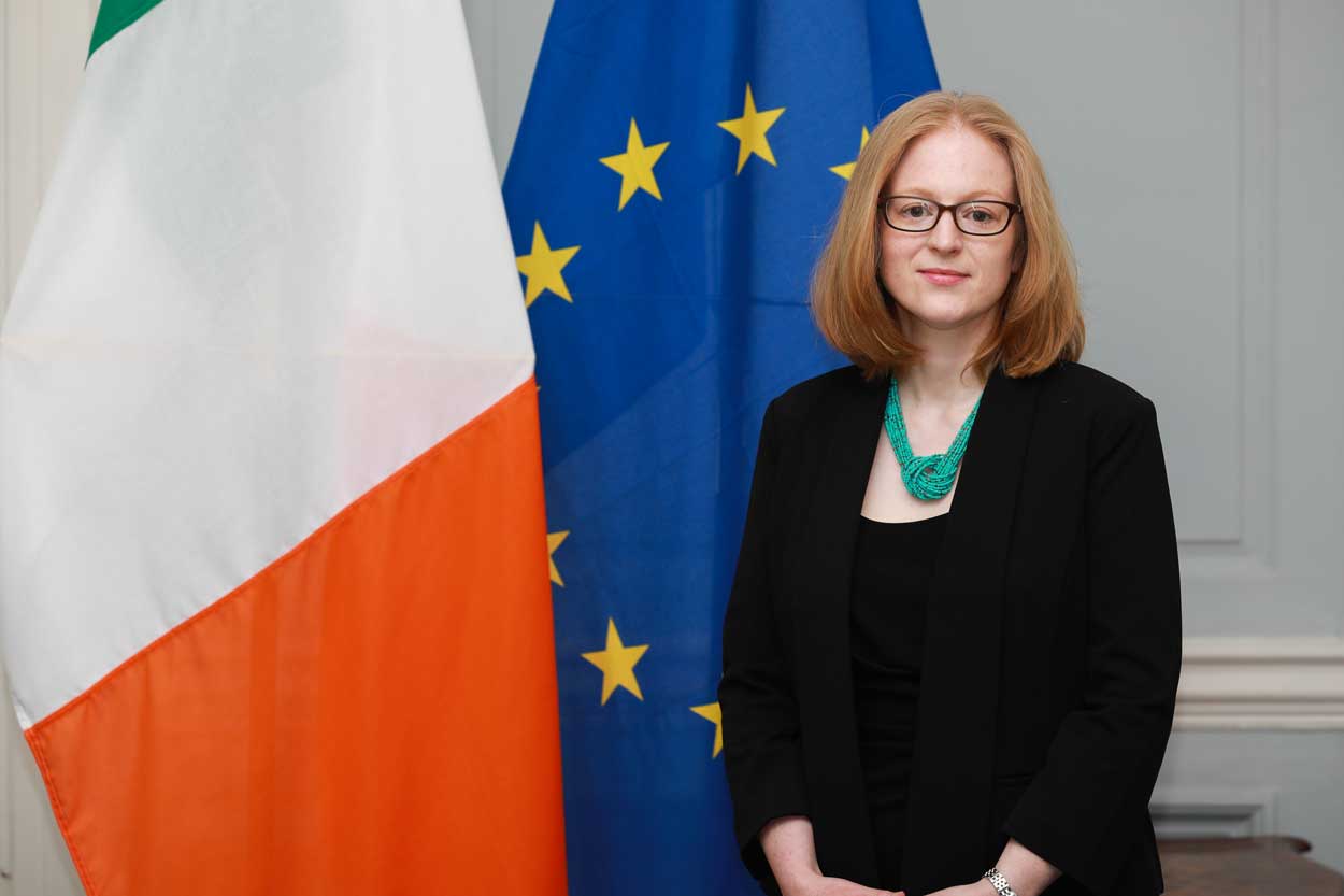 Janice McGann standing in front of the Irish and EU flags for official portrait photo.
