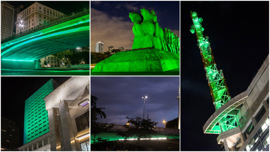 Sao Paulo Greening 2016