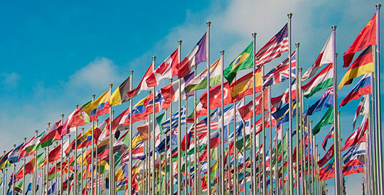 World flags