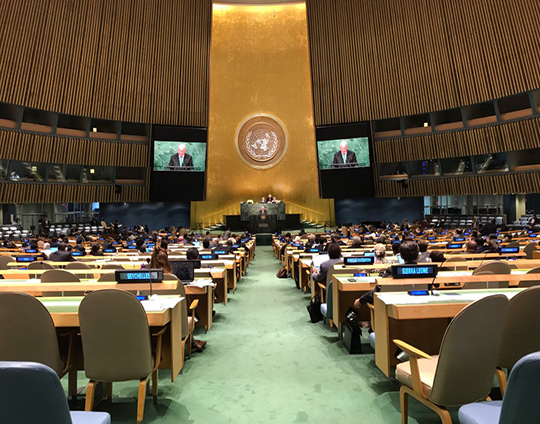 Address to the United Nations General Assembly by Minister Charles Flanagan TD