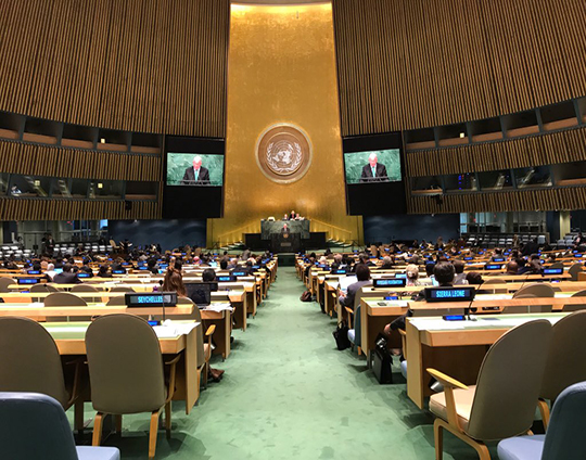 minister-flanagan-71st-unga-address-540px