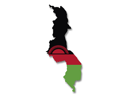 /media/dfa/alldfawebsitemedia/newspress/publications/malawi-csp-banner.png