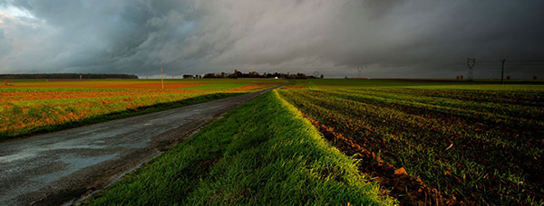 Launch of &lsquo;Fields of Battle, Lands of Peace&rsquo; photographic exhibition