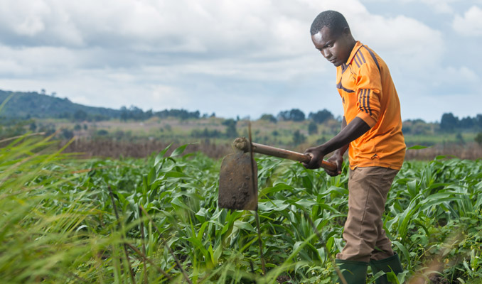 Fieldwork in Tanzania