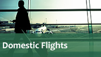 passport domestic flights