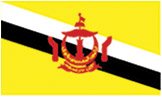 Brunei Flag