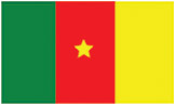 Cameroon Flag