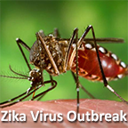 Zika Virus outbreak