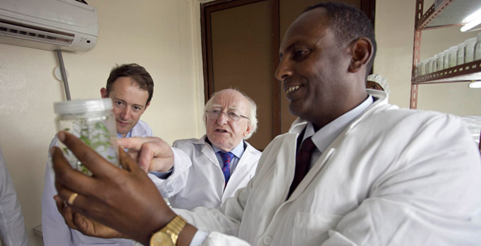 Pictured is President Michael D Higgins and Minister Sean Sherlock TD, Minister for Development , Trade Promotion and North-South Cooperation with Dr Eyasu Abaraha, Director of the Tigray Agriculture Research Institute, in the seed multiplication laboratory during their visit to the Institute in Mekelle .Photo Chris Bellew / Copyright Fennell Photography 2014