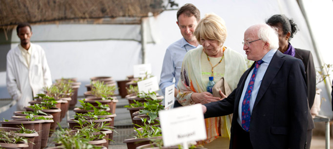 Pictured is President Michael D Higgins and his wife Sabina and Minister Sean Sherlock TD, Minister for Development , Trade Promotion and North-South Cooperation in the 'seed multiplication green house' during their visit to the Tigray Agriculture Research Institute in Mekelle. Photo Chris Bellew / Copyright Fennell Photography 2014