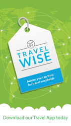 TravelWise app download