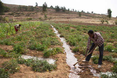 Watershed rehabilitation is a core part of Irish Aid’s approach. Hillsides are now greener and groundwater levels have risen so that farmers are able to build ponds and wells and invest in small scale irrigation. Photo: Irish Aid.