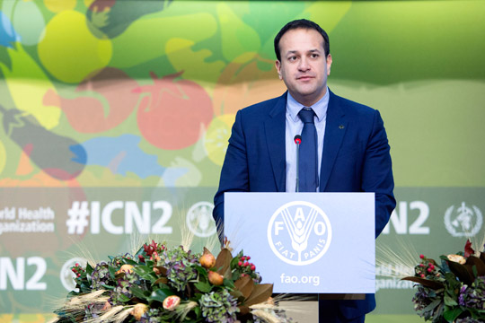 20 November 2014, Rome Italy - Statement by Leo Varadkar, Minister for Health of Ireland. General Debate, Second International Conference on Nutrition (ICN2), Morning session, FAO Headquarters (Plenary Hall).