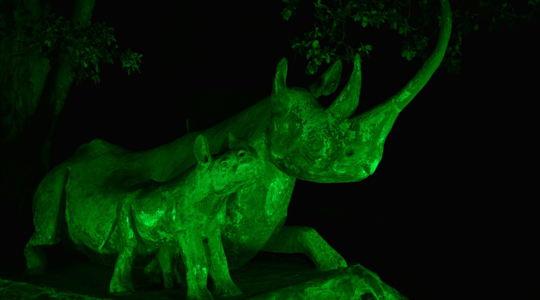 The rhino statues (Kyela & Lankeu) greened by the Embassy this year are modelled on a mother and baby African rhino pair living safely in Nairobi National Park.Photo credit: Embassy engaged Robert Njathika.
