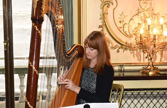 Harpist Anneka Hodnett, Photo credit: Malcolm McNally