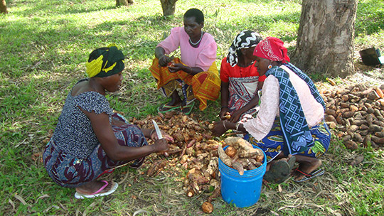 Monika Lukubunja, Masanyiwa Nkuzibwohi, Sofia Mangaga, Leya Mizimali - Mwanza (c) HKI
 
