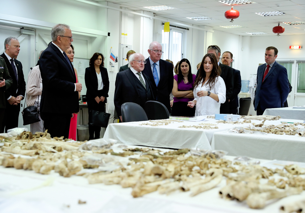 Ireland donates EUR 25,000 to Committee on Missing Persons