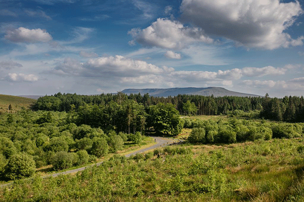 Irish-Countryside-Width-600-Pixels