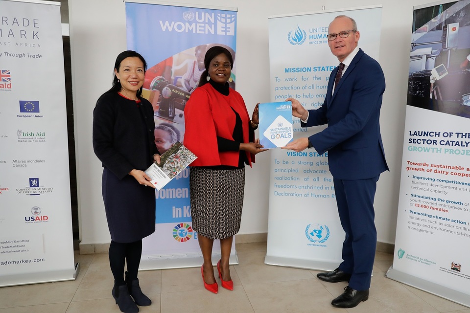 PARTNERSHIP BETWEEN IRISH AID AND UN WOMEN/OHCHR