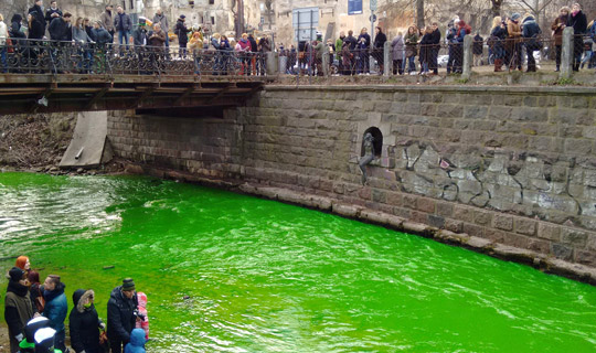 On Saturday, 14 March, the river Vilnele in Vilnius was once again ‘greened’ as part of the celebrations of St. Patrick’s Day.  