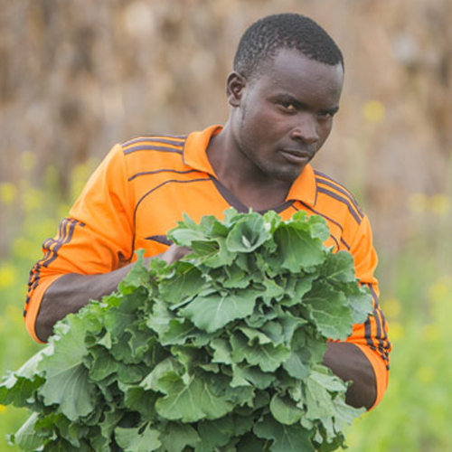 Making Nutrition a Family 