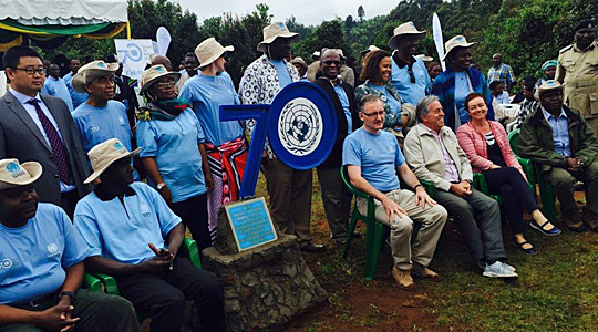 Ambassador Gilsenan plants a tree for Ireland - UN@70