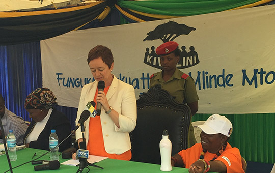 Ambassador Gilsenan delivering a speech at the launch of the 16 Days of Activism on Violence against Women in Mwanza region - 25th November 2015