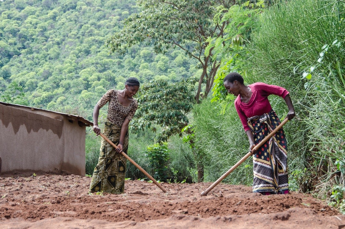 Promoting Climate Smart Agriculture in Dodoma with WFP
