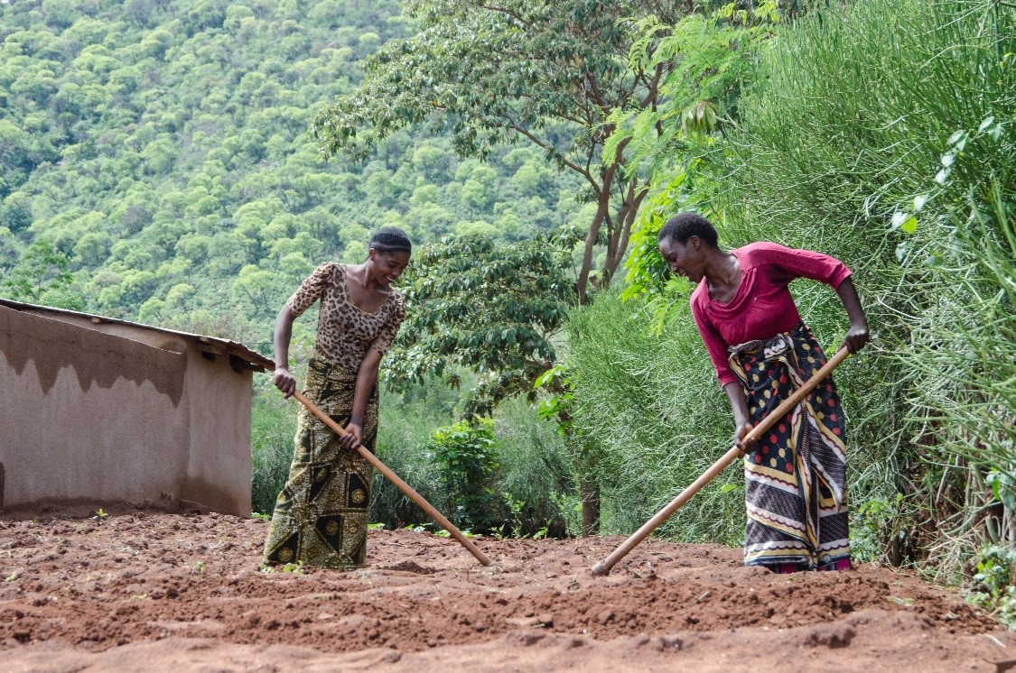 Promoting Climate Smart Agriculture in Dodoma with WFP 