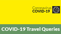 Covid-19 Travel Queries