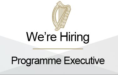 Programme Executive